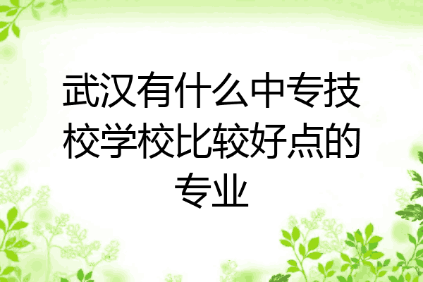 武汉有什么中专技校学校比较好点的专业
