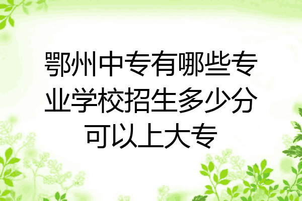 鄂州中专有哪些专业学校招生多少分可以上大专