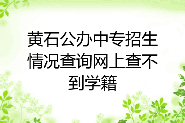黄石公办中专招生情况查询网上查不到学籍