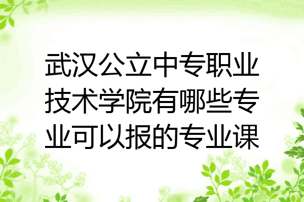 武汉公立中专职业技术学院有哪些专业可以报的专业课