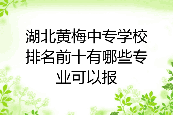 湖北黄梅中专学校排名前十有哪些专业可以报