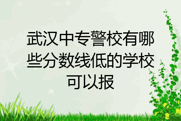 武汉中专警校有哪些分数线低的学校可以报