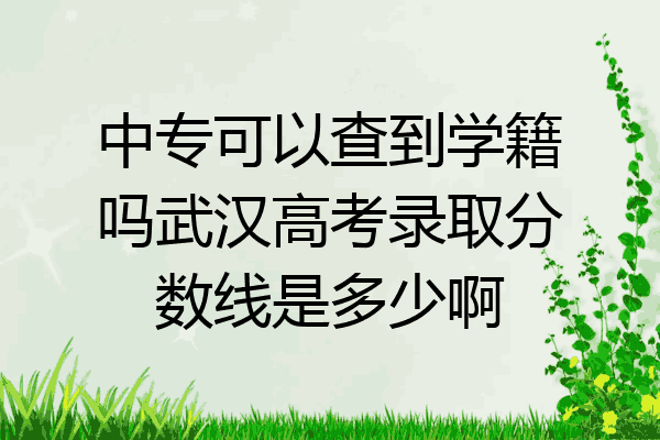 中专可以查到学籍吗武汉高考录取分数线是多少啊