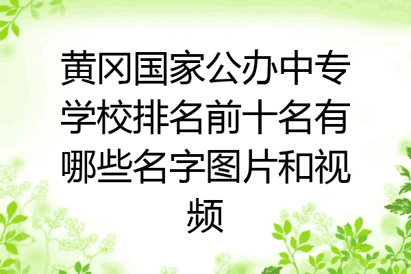 黄冈国家公办中专学校排名前十名有哪些名字图片和视频