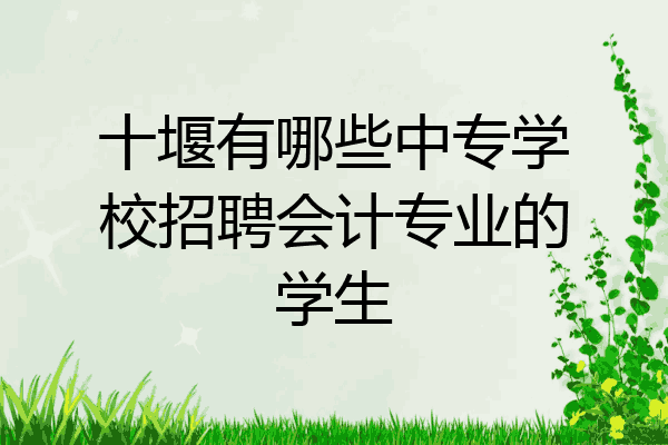 十堰有哪些中专学校招聘会计专业的学生