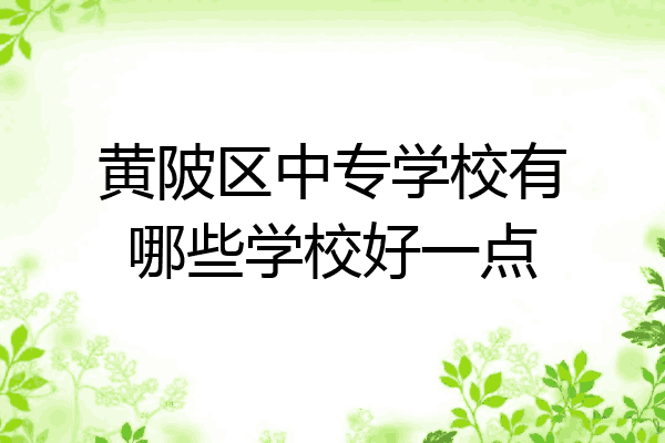 黄陂区中专学校有哪些学校好一点