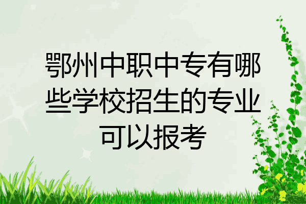 鄂州中职中专有哪些学校招生的专业可以报考