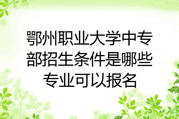 鄂州职业大学中专部招生条件是哪些专业可以报名