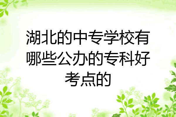 湖北的中专学校有哪些公办的专科好考点的