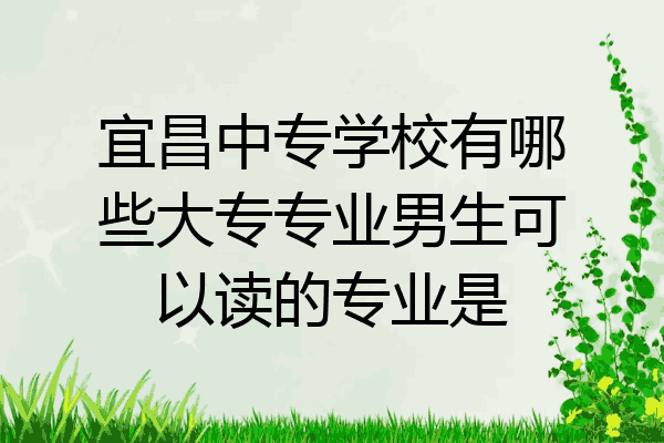 宜昌中专学校有哪些大专专业男生可以读的专业是