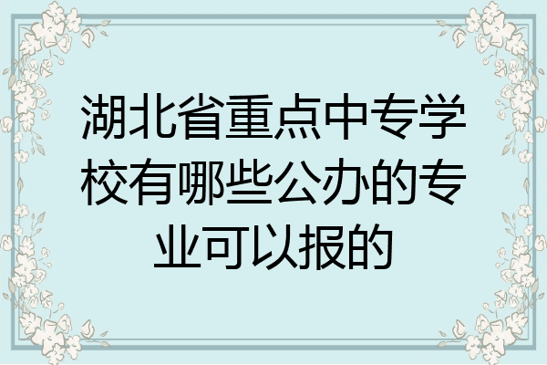 湖北省重点中专学校有哪些公办的专业可以报的