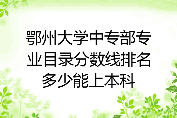 鄂州大学中专部专业目录分数线排名多少能上本科