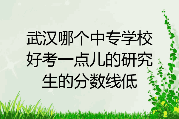 武汉哪个中专学校好考一点儿的研究生的分数线低