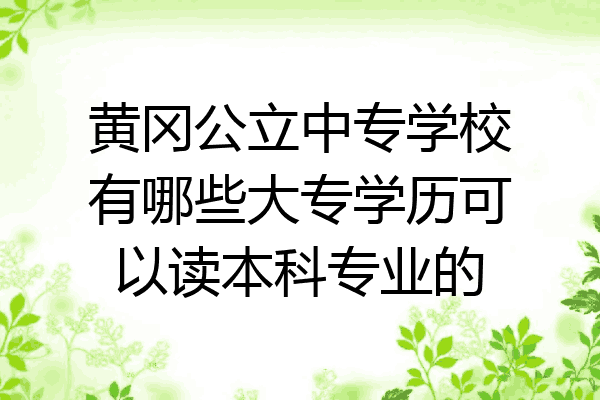 黄冈公立中专学校有哪些大专学历可以读本科专业的