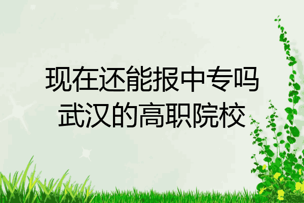 现在还能报中专吗武汉的高职院校