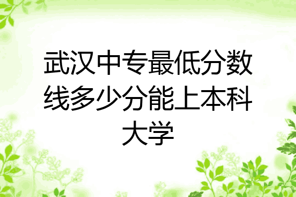 武汉中专最低分数线多少分能上本科大学