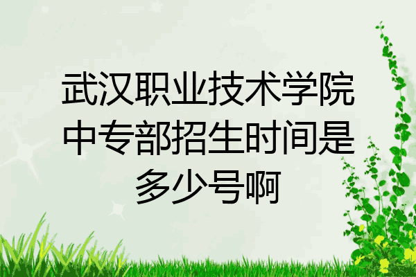武汉职业技术学院中专部招生时间是多少号啊