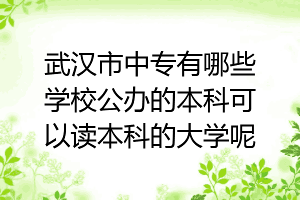 武汉市中专有哪些学校公办的本科可以读本科的大学呢