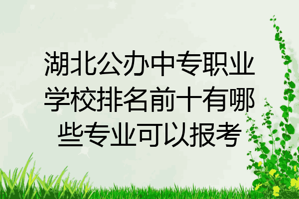 湖北公办中专职业学校排名前十有哪些专业可以报考