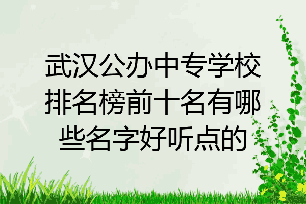 武汉公办中专学校排名榜前十名有哪些名字好听点的
