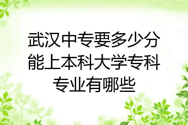 武汉中专要多少分能上本科大学专科专业有哪些