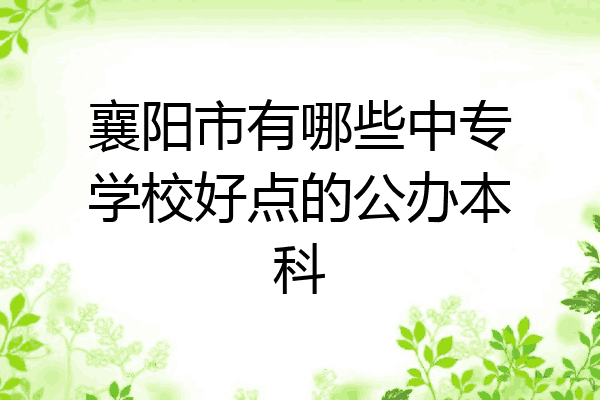 襄阳市有哪些中专学校好点的公办本科