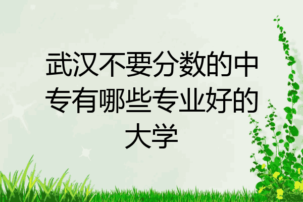 武汉不要分数的中专有哪些专业好的大学
