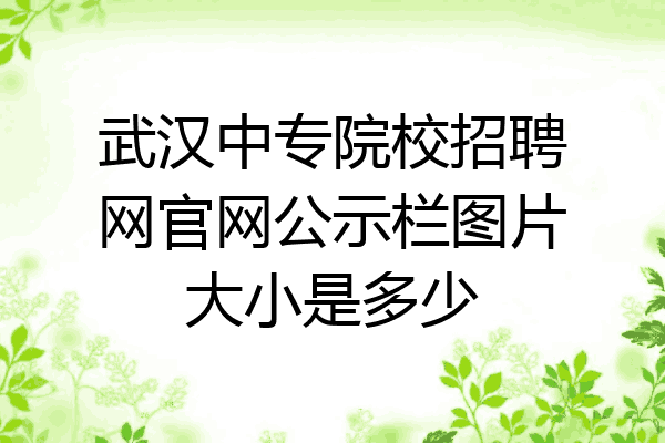 武汉中专院校招聘网官网公示栏图片大小是多少