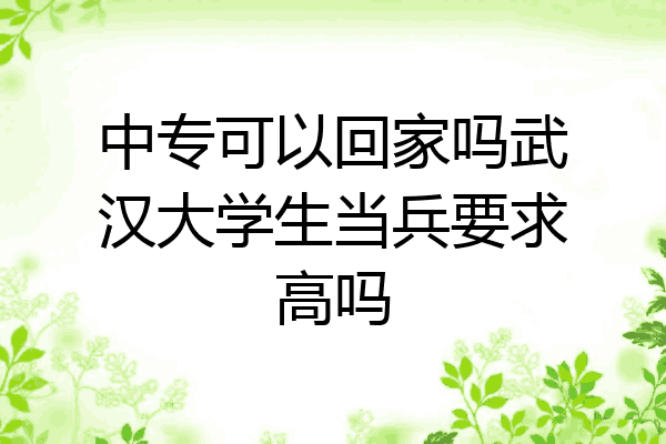 中专可以回家吗武汉大学生当兵要求高吗
