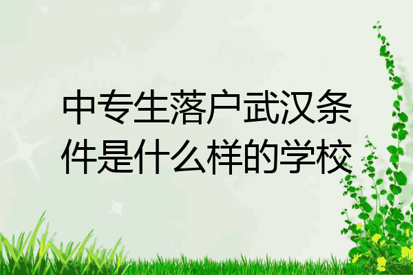 中专生落户武汉条件是什么样的学校