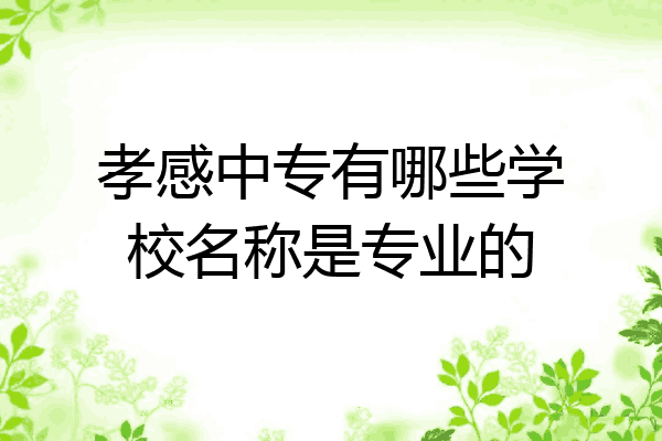 孝感中专有哪些学校名称是专业的