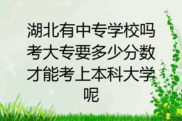 湖北有中专学校吗考大专要多少分数才能考上本科大学呢