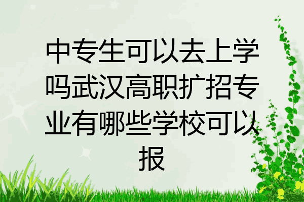 中专生可以去上学吗武汉高职扩招专业有哪些学校可以报