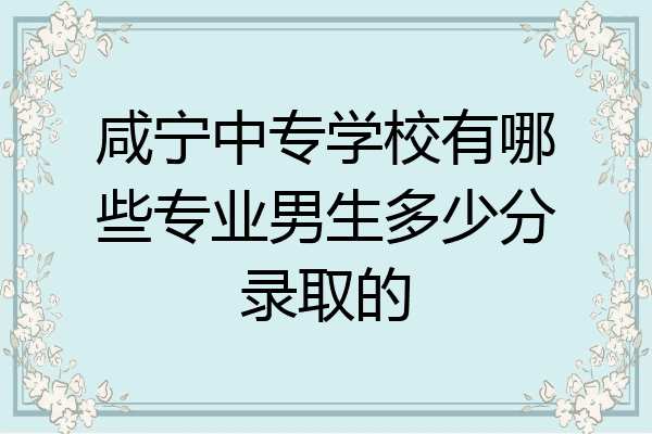 咸宁中专学校有哪些专业男生多少分录取的