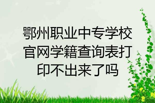 鄂州职业中专学校官网学籍查询表打印不出来了吗