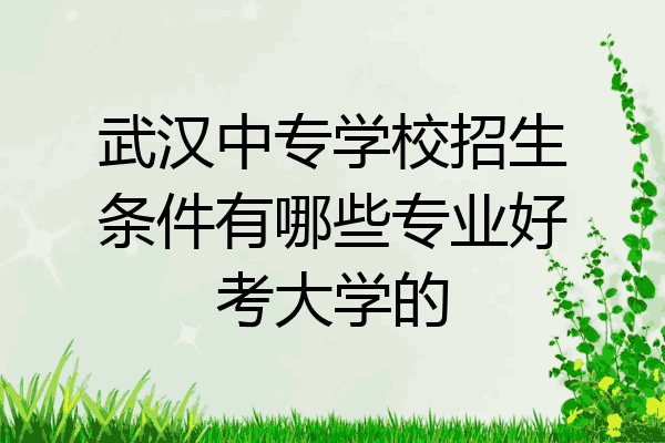 武汉中专学校招生条件有哪些专业好考大学的