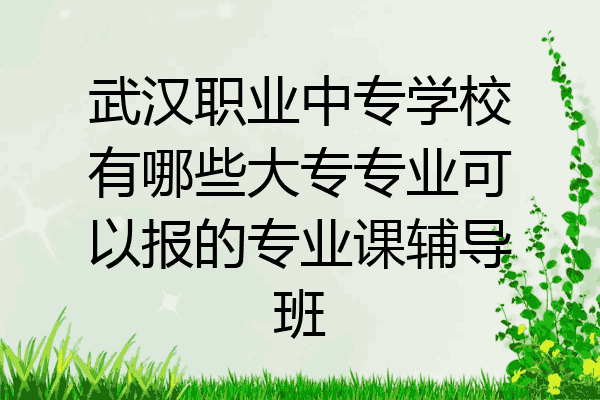 武汉职业中专学校有哪些大专专业可以报的专业课辅导班
