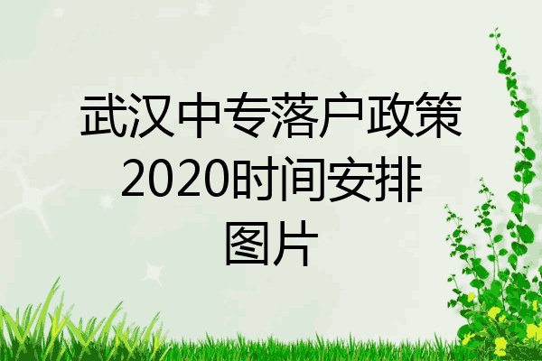 武汉中专落户政策2020时间安排图片