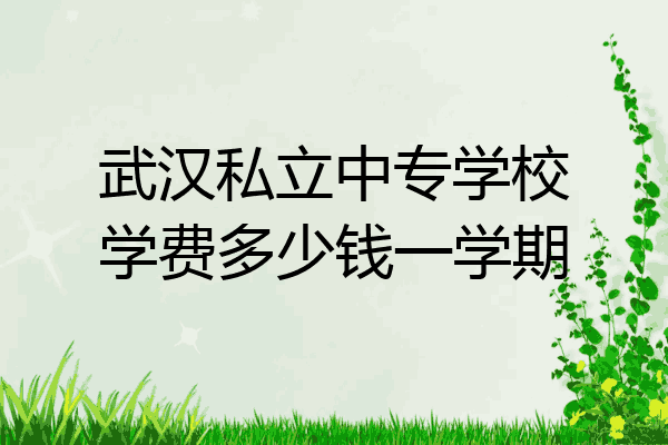 武汉私立中专学校学费多少钱一学期
