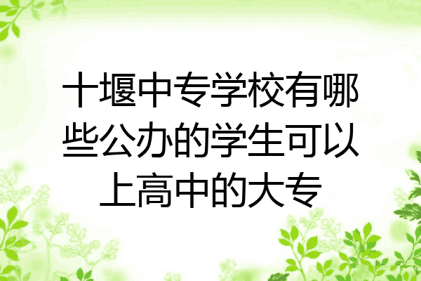 十堰中专学校有哪些公办的学生可以上高中的大专
