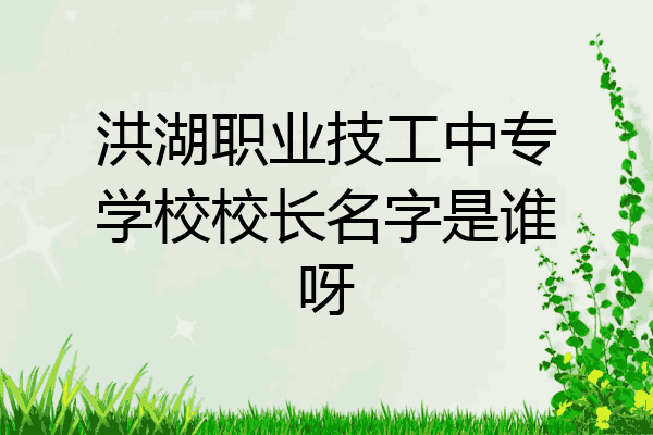 洪湖职业技工中专学校校长名字是谁呀