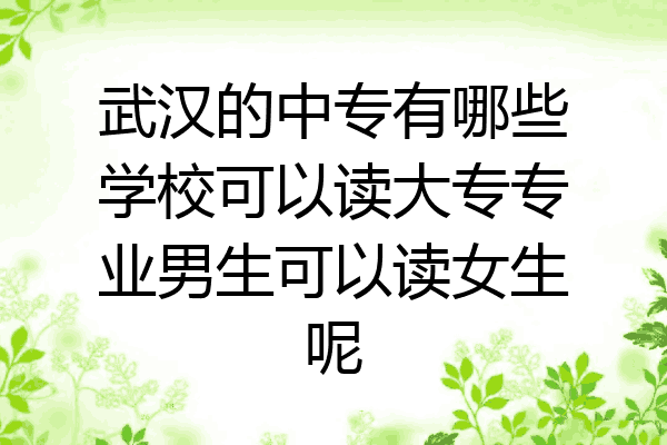 武汉的中专有哪些学校可以读大专专业男生可以读女生呢