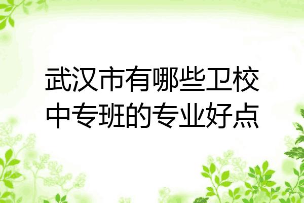 武汉市有哪些卫校中专班的专业好点