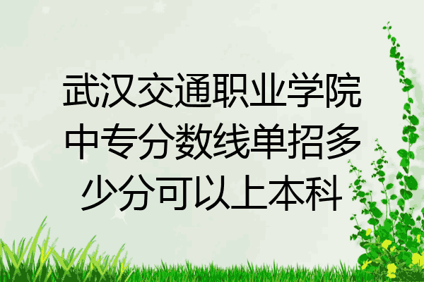 武汉交通职业学院中专分数线单招多少分可以上本科