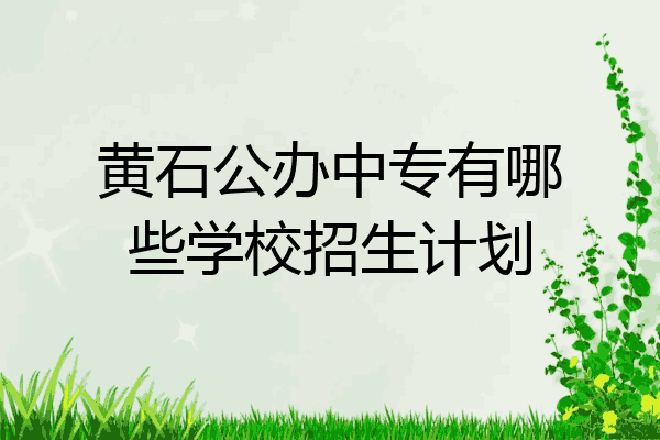 黄石公办中专有哪些学校招生计划