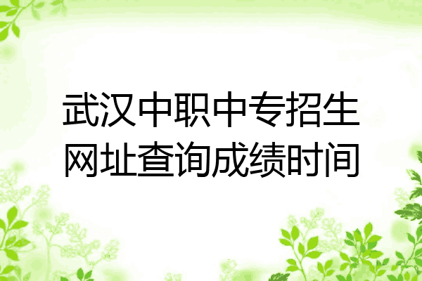 武汉中职中专招生网址查询成绩时间