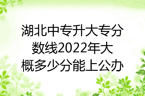 湖北中专升大专分数线2022年大概多少分能上公办
