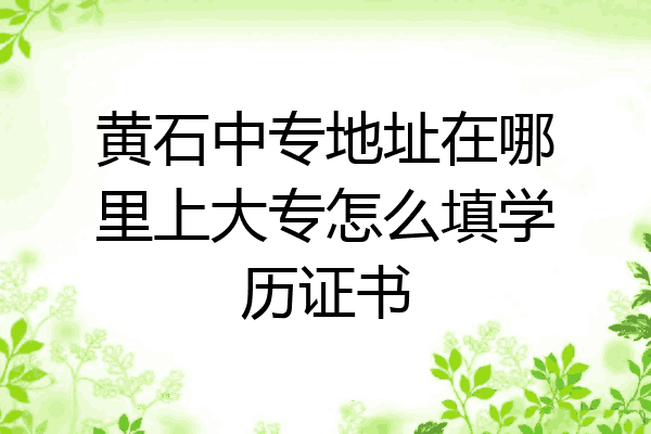 黄石中专地址在哪里上大专怎么填学历证书