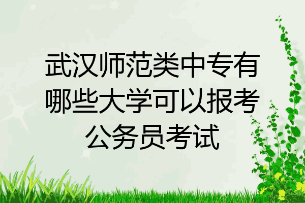 武汉师范类中专有哪些大学可以报考公务员考试