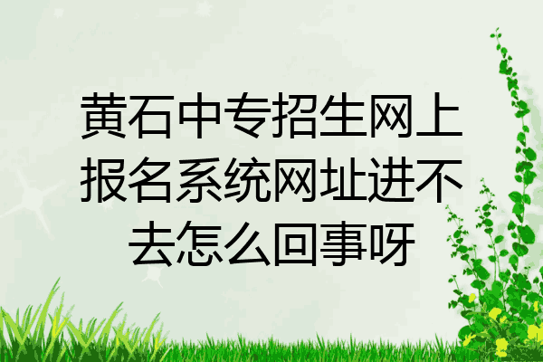黄石中专招生网上报名系统网址进不去怎么回事呀